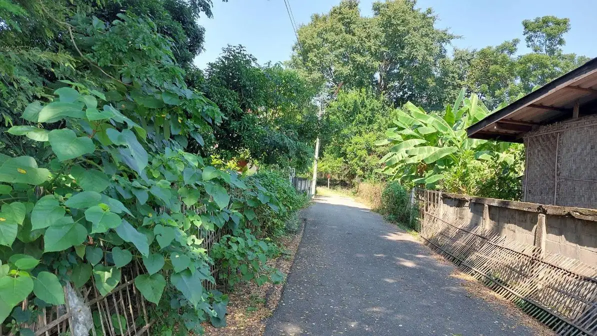 Property Image 4